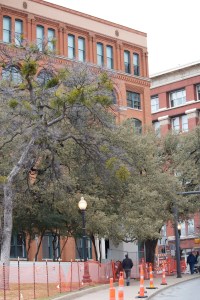 Looking back from Elm to the sniper's nest.